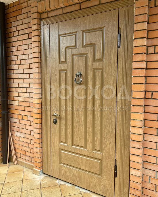 Фото стальной двери №43