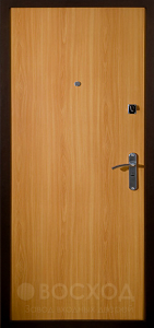 Глухая распашная дверь с ламинацией №52 - фото №2
